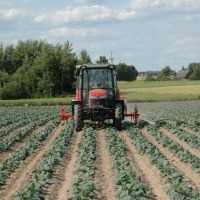 Producteur d'accessoires pour tracteurs, roues pour machines agricoles, Pologne